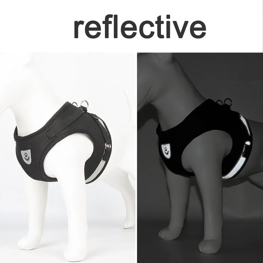 BrightPaws Reflective Mesh Harness