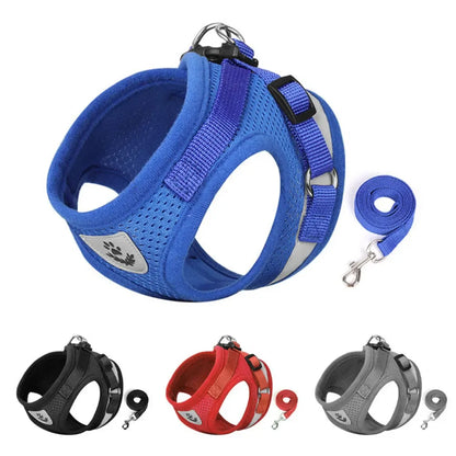 BrightPaws Reflective Mesh Harness